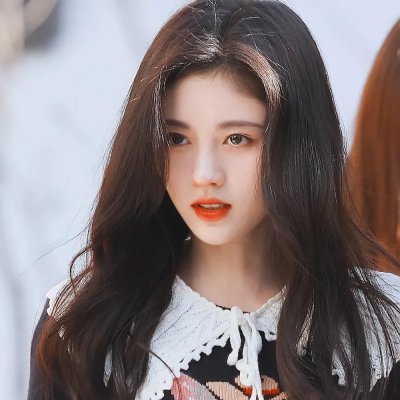 木材宝藏狗