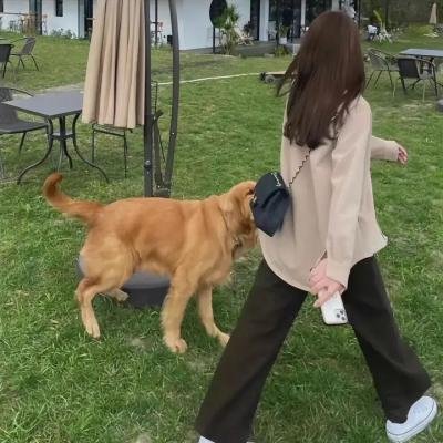 她的微笑像颗糖